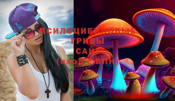 шишки Вяземский