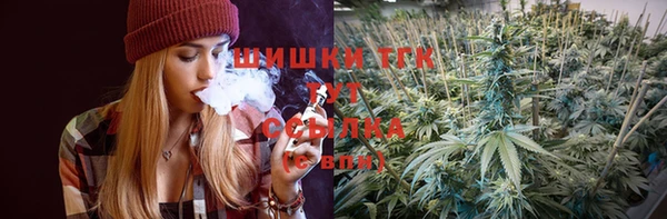 гашик Алагир