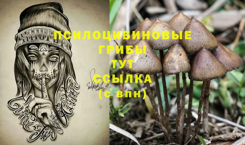 Галлюциногенные грибы MAGIC MUSHROOMS  Новотроицк 