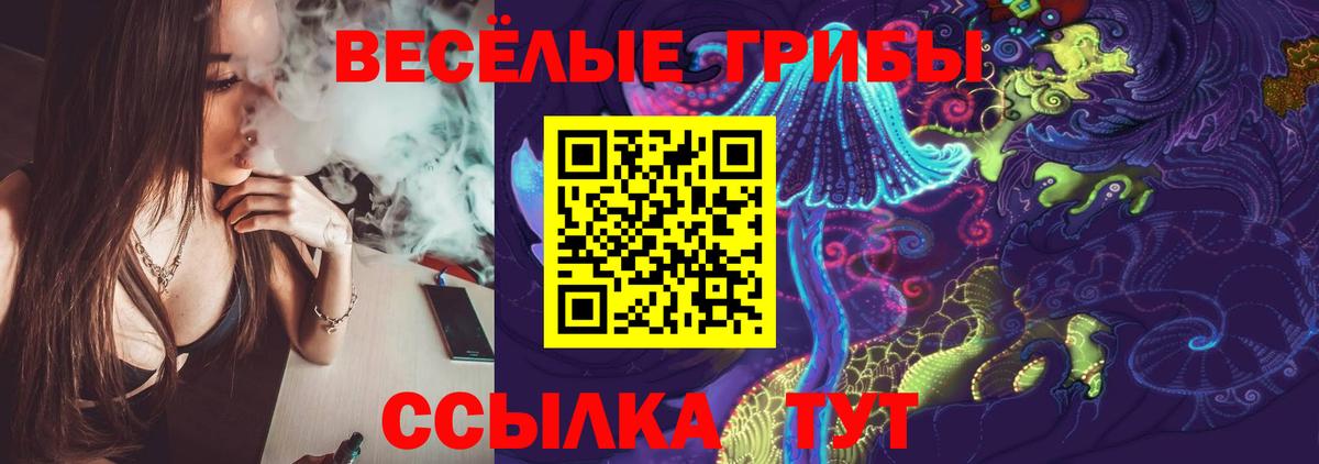 Новотроицк  Псилоцибиновые грибы MAGIC MUSHROOMS  магазин продажи наркотиков  Вход с VPN 